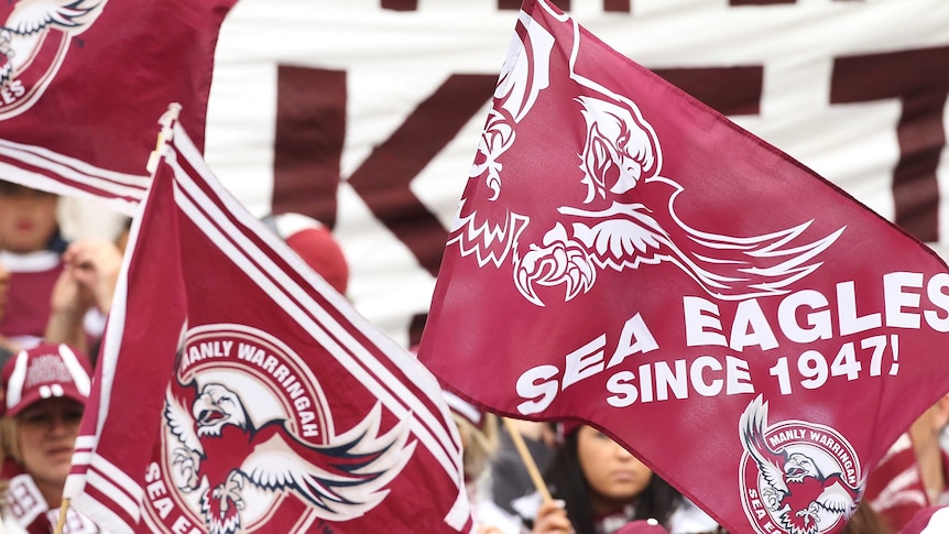 Manly Sea Eagles flags (generic).