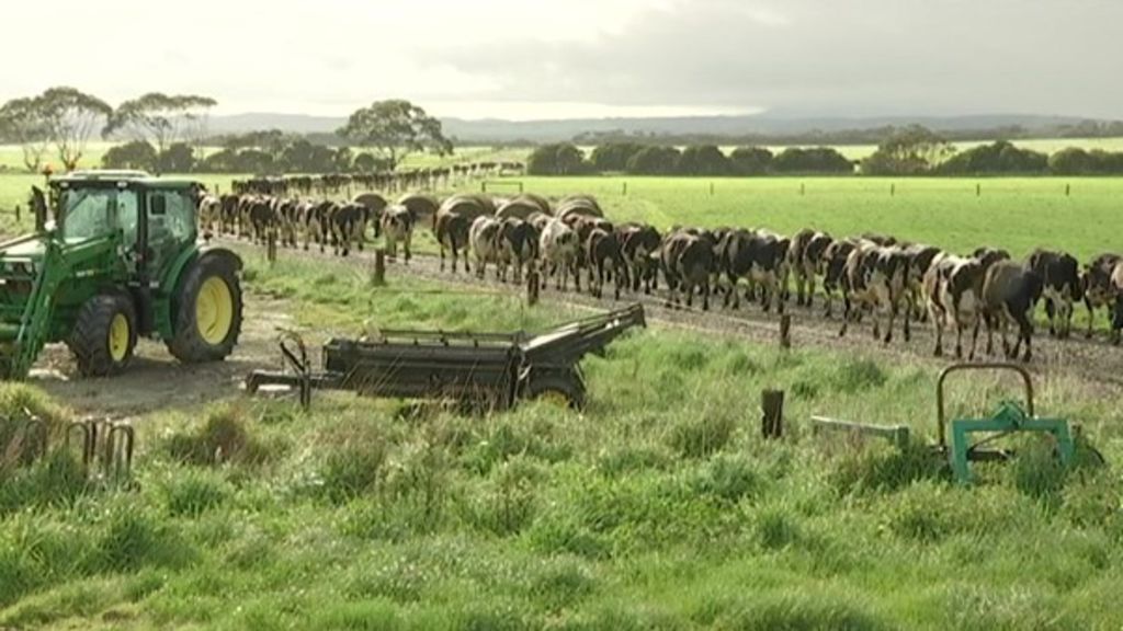 ABC Rural - ABC News
