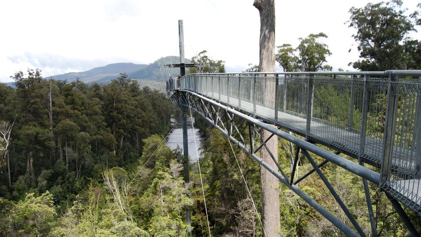The Tahune Airwalk has attracted thousands of visitors since opening in 2001.