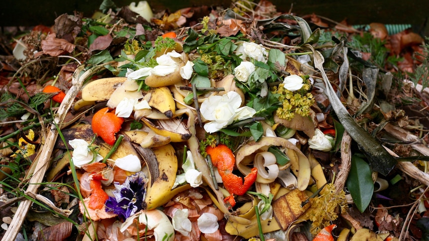 Organic waste in a pile.