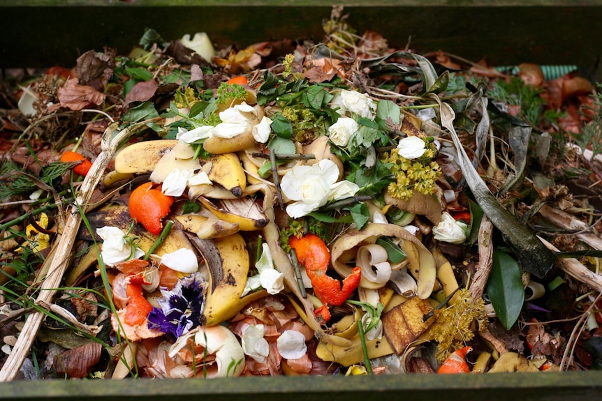 Organic waste in a pile.