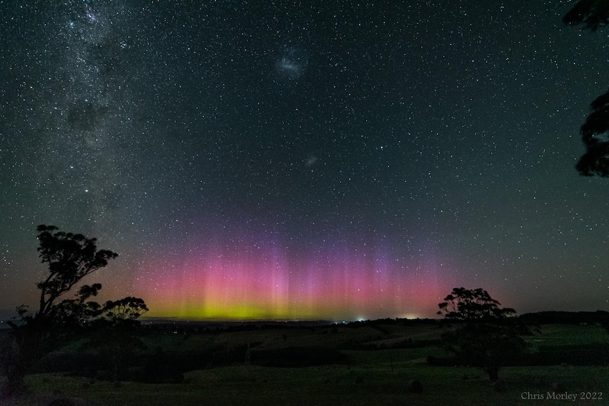 Pink and yellow lights of the Aurora Australis among the starry night sky in the Latrobe Valley