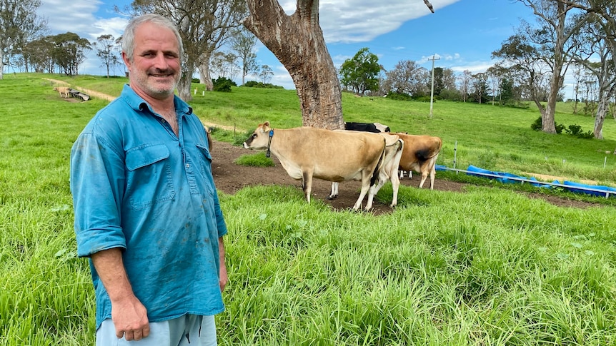 Smiling middle-aged man grey receding hair, stubble, wears teal blue shirt, light blue stands in paddock with dairy cows behind.