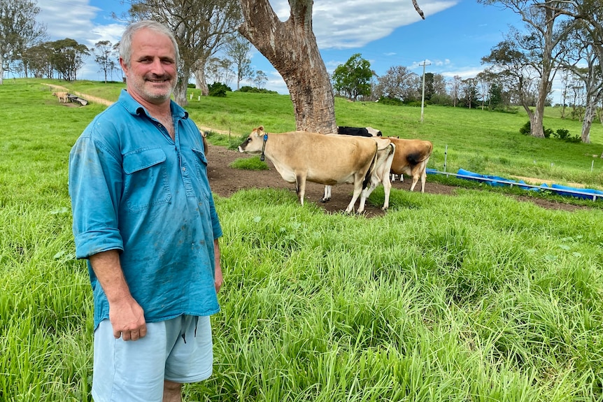 man standing in paddock with dairy cows behind him