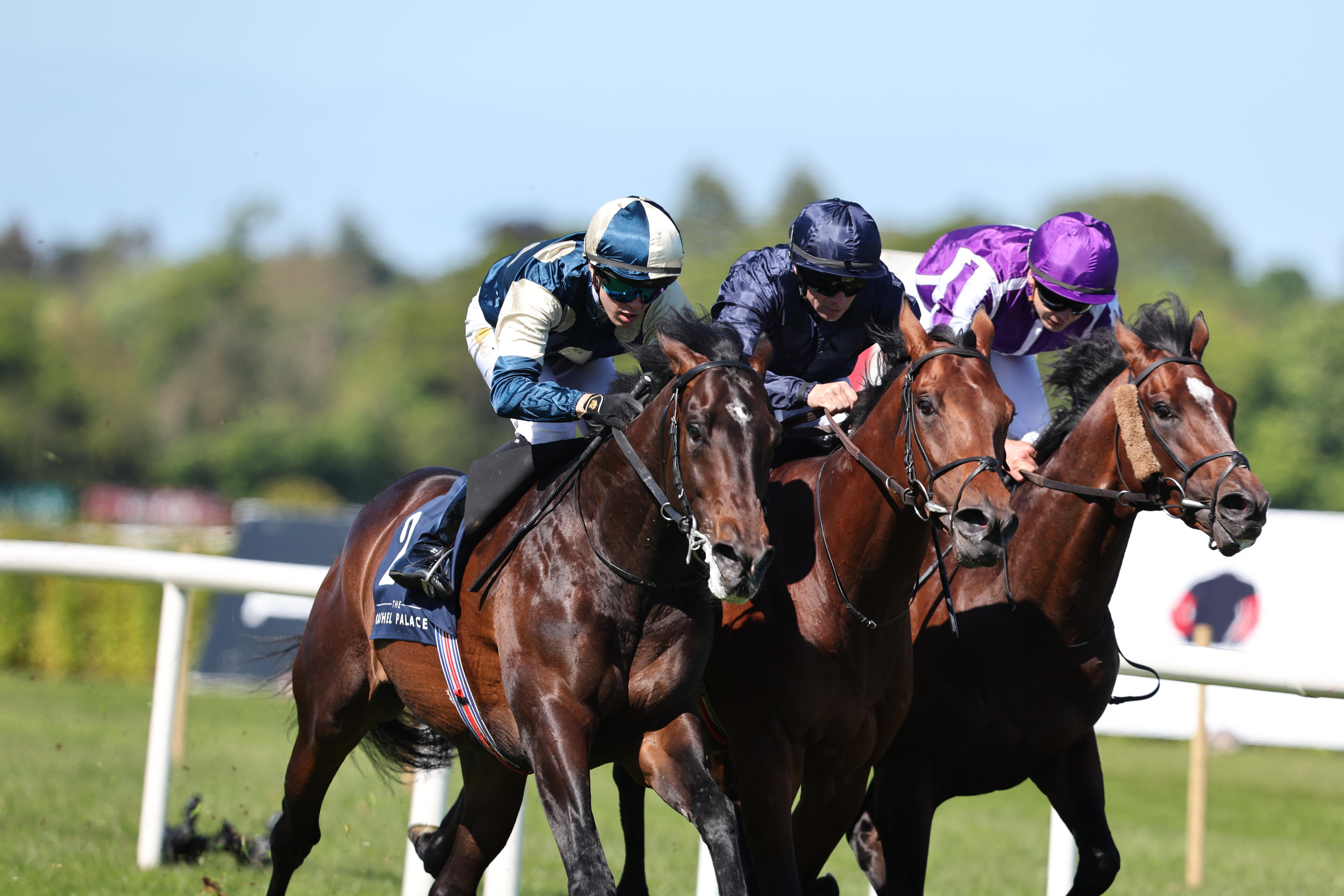 Three horses race to the line side by side.