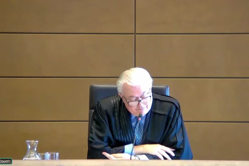 Screengrab of a judge reading a verdict on a webstream.