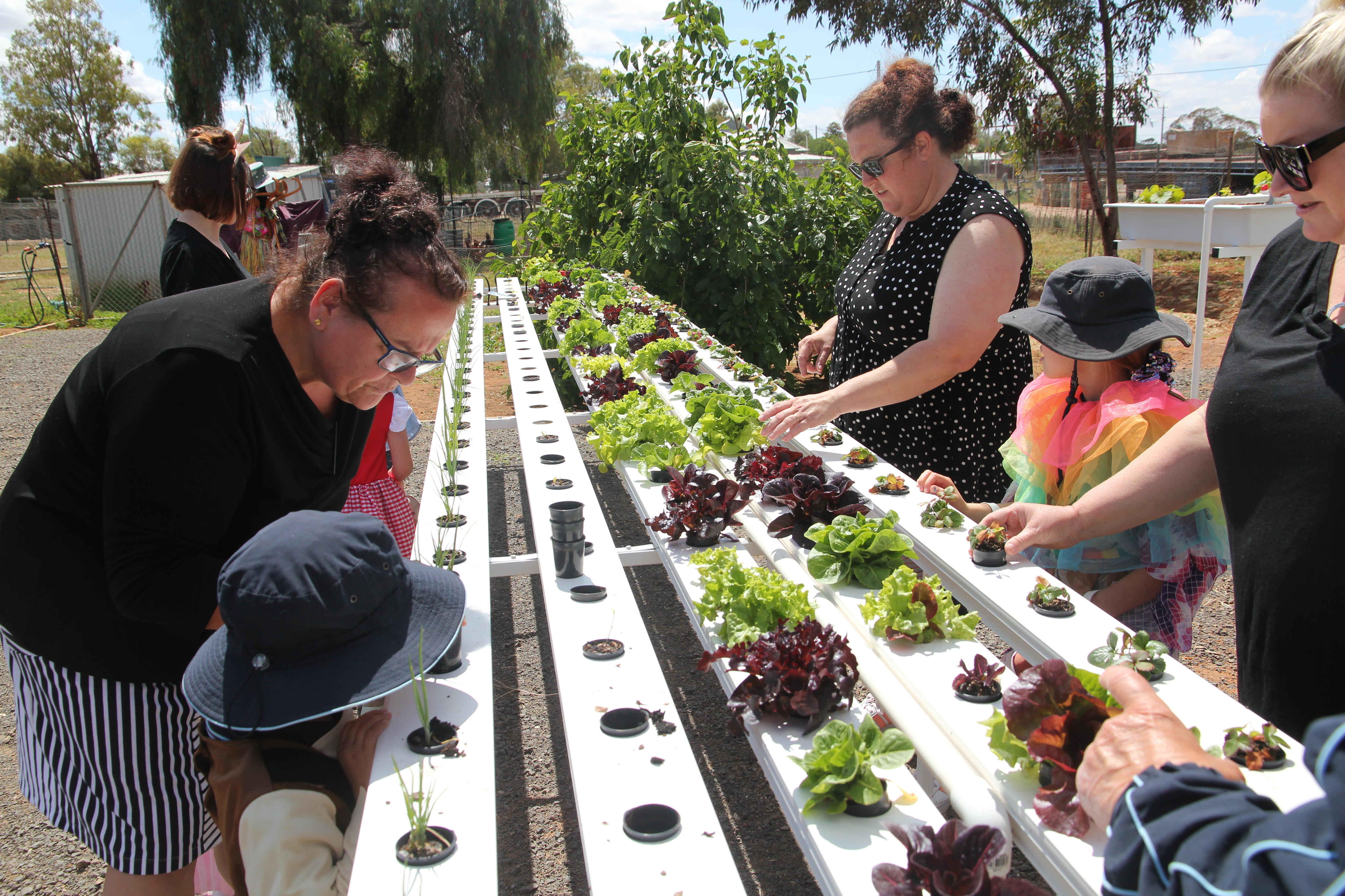 Ivanhoe Central School wins national Landcare award for sustainable