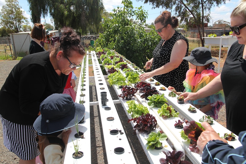 Women and children looking at plants. 