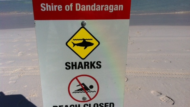 Beach closed sign after fatal shark attack