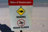 Beach closed sign after fatal shark attack