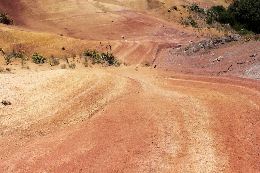 Its colours are reminiscent of the Central Australian desert.