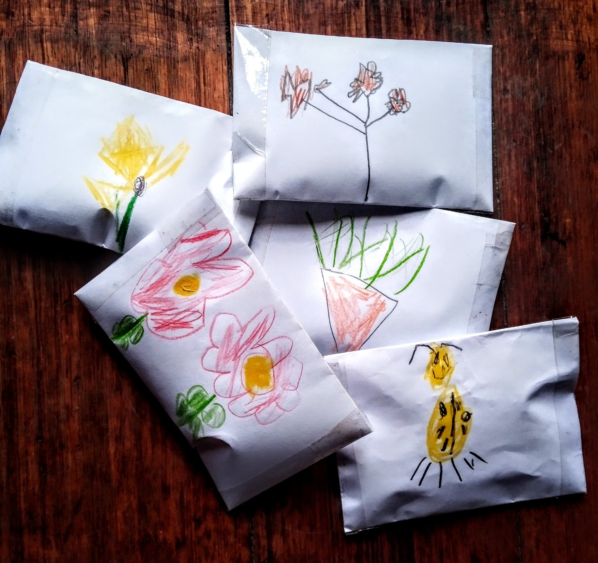 Packets of seeds labeled with people's names in the child's handwriting and showing colored pencil drawings of flowers and beetles
