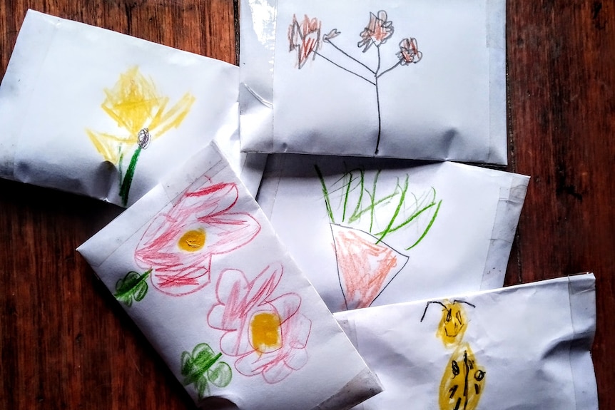 Packets of seeds labeled with people's names in the child's handwriting and showing colored pencil drawings of flowers and beetles