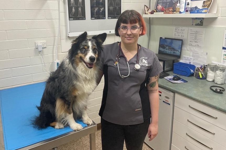 A female veterinarian poses with a smiling dog in the examination room of her practice.