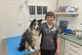 A female veterinarian poses with a smiling dog in the examination room of her practice.