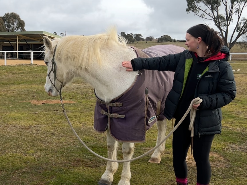 Two white horses wearing coats with two people standing next to them.