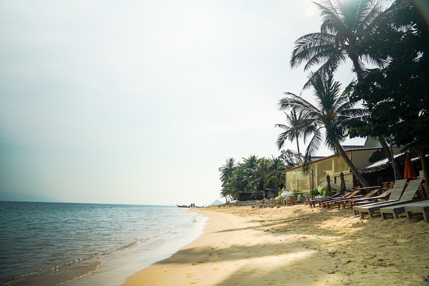 Una toma de agua tranquila del océano y una playa de arena blanca bordeada de palmeras.
