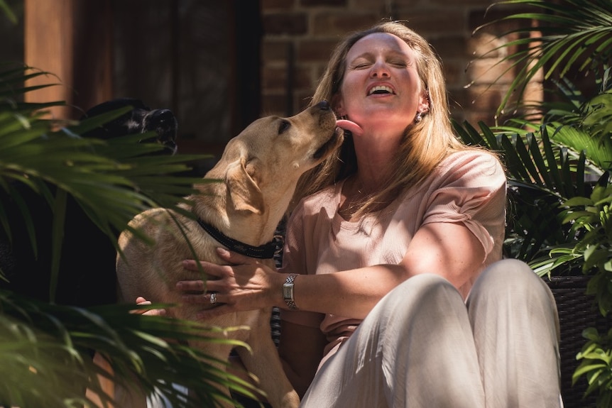 A labrador licks a woman's face.