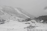 A valley and mountains at Perisher covered in white snow with misty clouds in the background