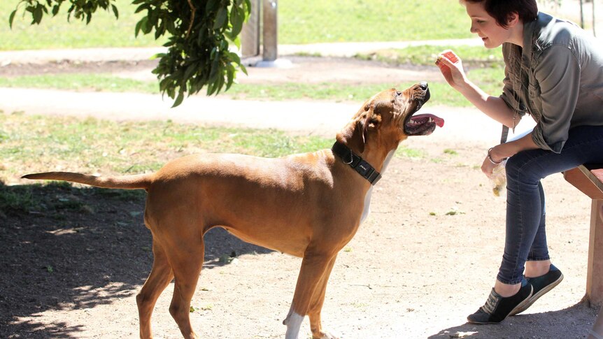 Rescue dog Zuri and owner Ebony