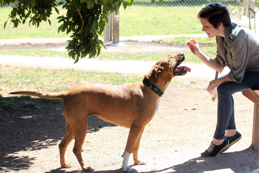 Rescue dog Zuri and owner Ebony