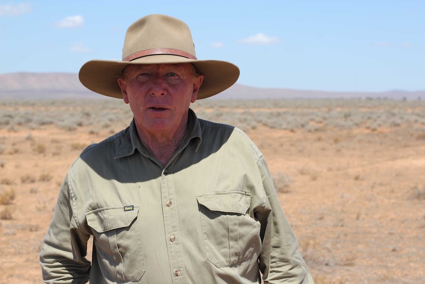 An older man wearing a green shirt and cowboy hat. There are mountains in the background