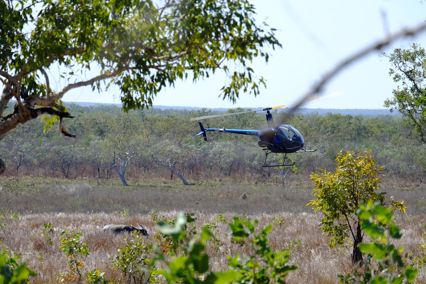 Image of a helicopter flying in the desert.