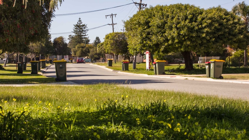 Red and yellow bins outside houses in Balga, Perth