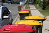 A line up of council bins next to the footpath with a white car parked to the side