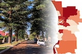 A composite of a leafy street in Cottesloe with a map of Perth local government areas in different shades of red.