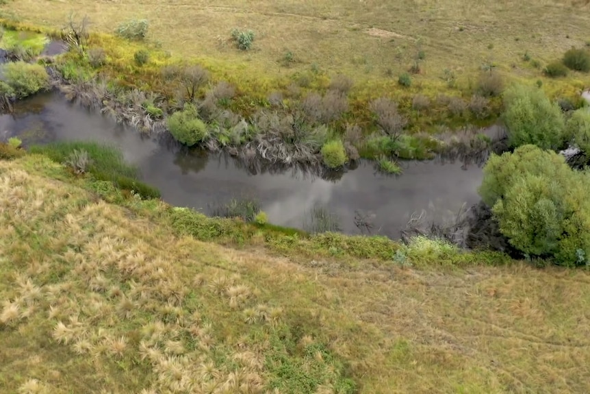 Photo of a creek running through a property.