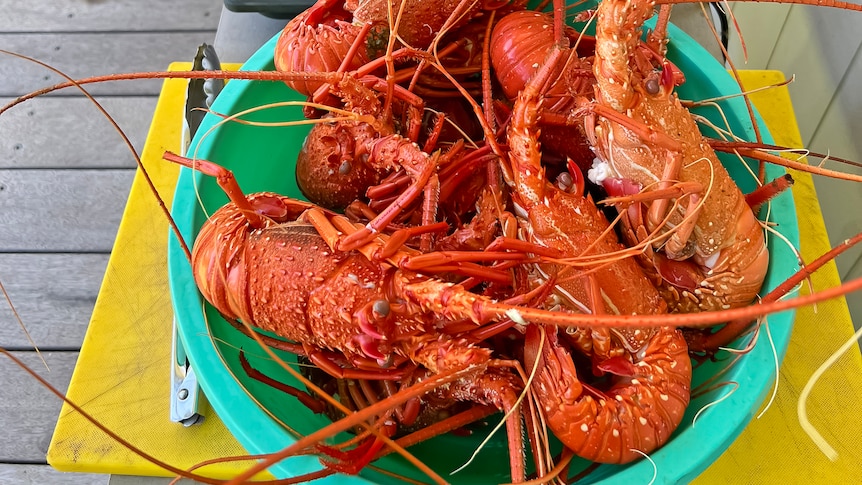 Cooked crays in front of a pot