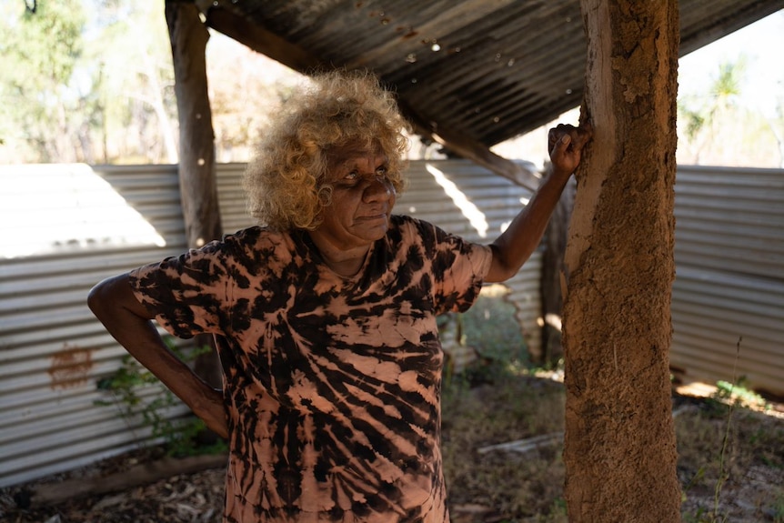 Auntie Karen Chong wants alcohol reform on Mornington Island due to home brew consumption