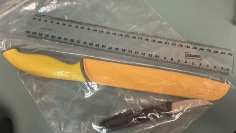 two knives in a plastic bag with a plastic ruler for measuring their length.