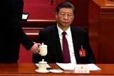 Xi Jinping sits at a wooden bench with two teacups on saucers sitting in front of him