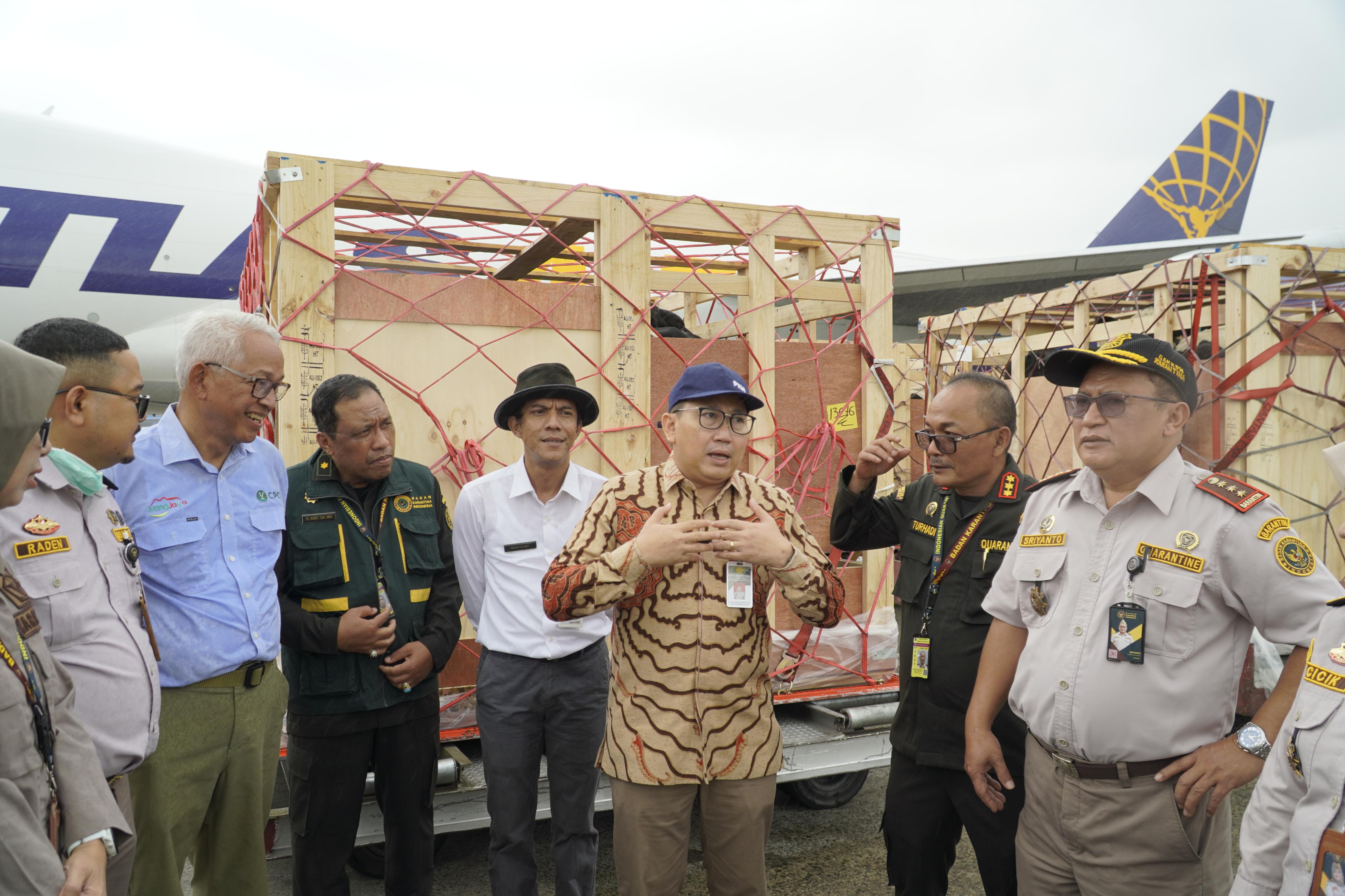 Indonesia's agriculture minister with group standing in front of place welcomes arrival of Australian dairy cattle.