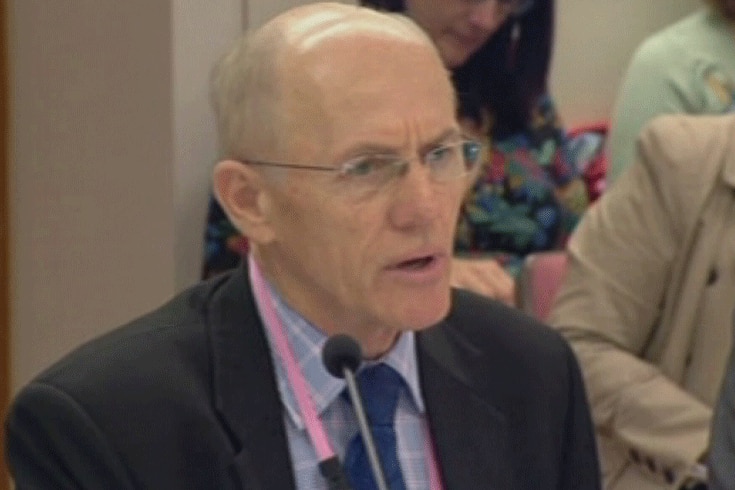 Ken Levy appearing before a parliamentary committee in Brisbane