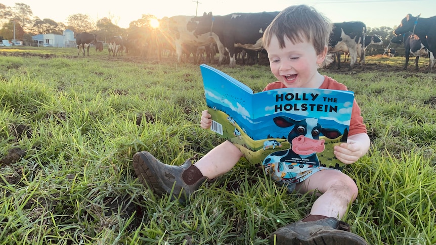 Young boy sits in grass paddock reading book smiling in front of dairy cows. 