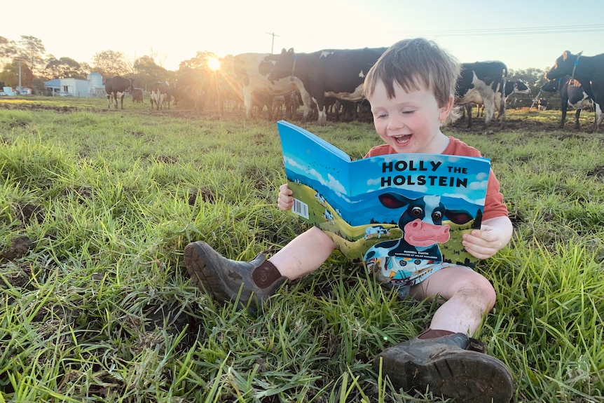 Young boy sits in grass paddock reading book smiling in front of dairy cows. 