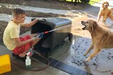 Boy cleans a bin with two dogs nearby.