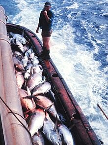 Big-game fishing - Wikipedia