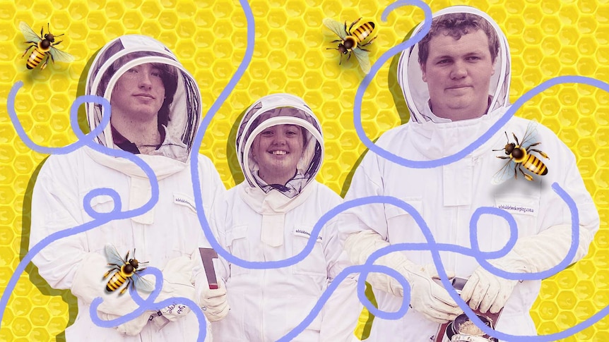 A few illustrated bees buzz around three students dressed in beekeeper suits and honeycomb pattern in background.