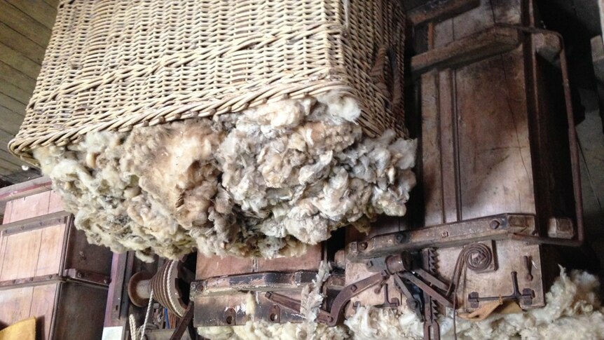 Baskets of freshly shorn wool.
