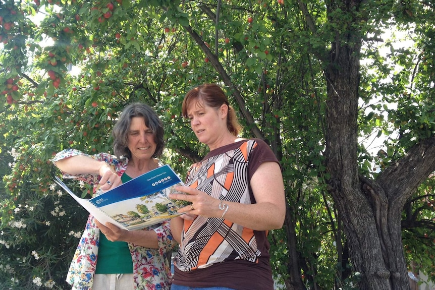 Residents Karen Williams and Kate Gauthier examine the master plan