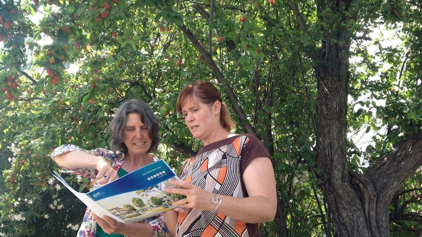 Residents Karen Williams and Kate Gauthier examine the master plan