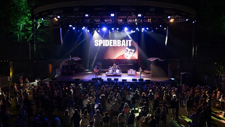 A large outdoor crowd gathers to watch Spiderbait perform live in Central Park, NYC under cover of darkness