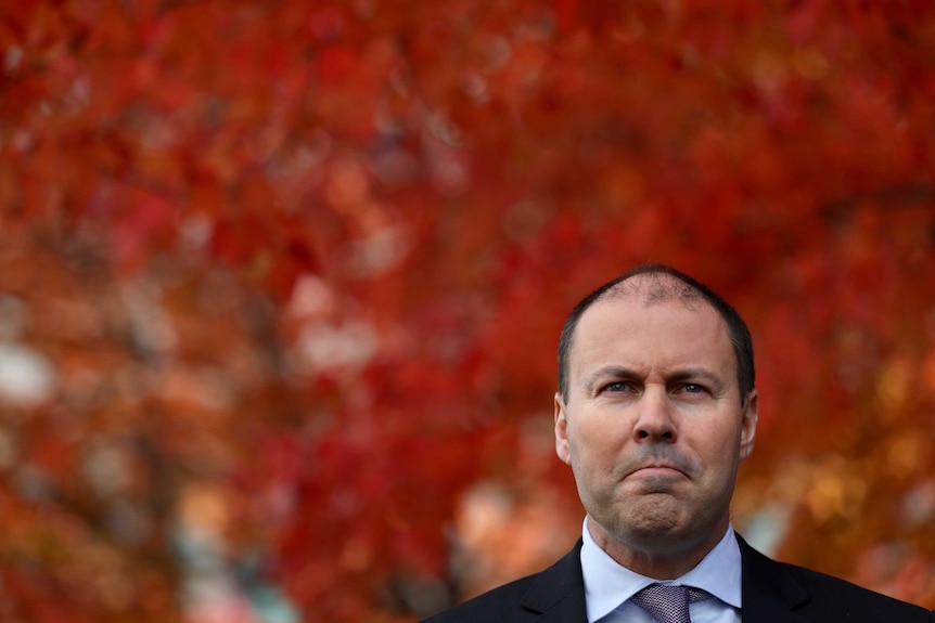 Josh Frydenberg frowns at a press conference in a Parliament House courtyard. He's standing in front of a red tree.