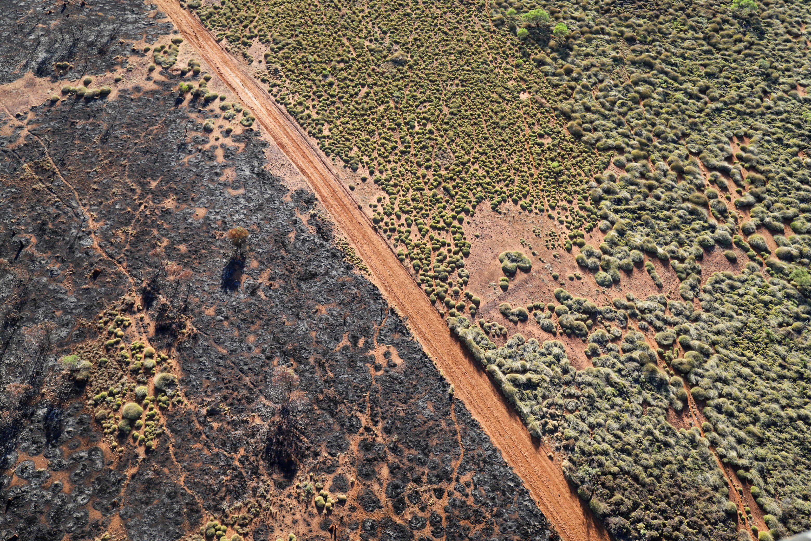 An aerial shot shows a road that has green pasture on one side and blacken pasture on the other side