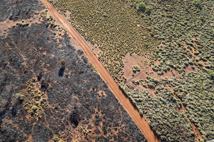 An aerial shot shows a road that has green pasture on one side and blacken pasture on the other side