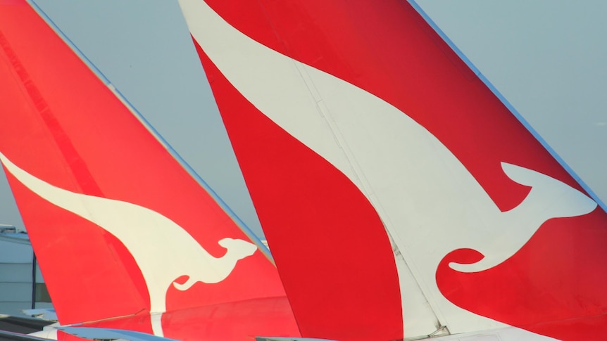 Qantas kangaroo on plane tail.